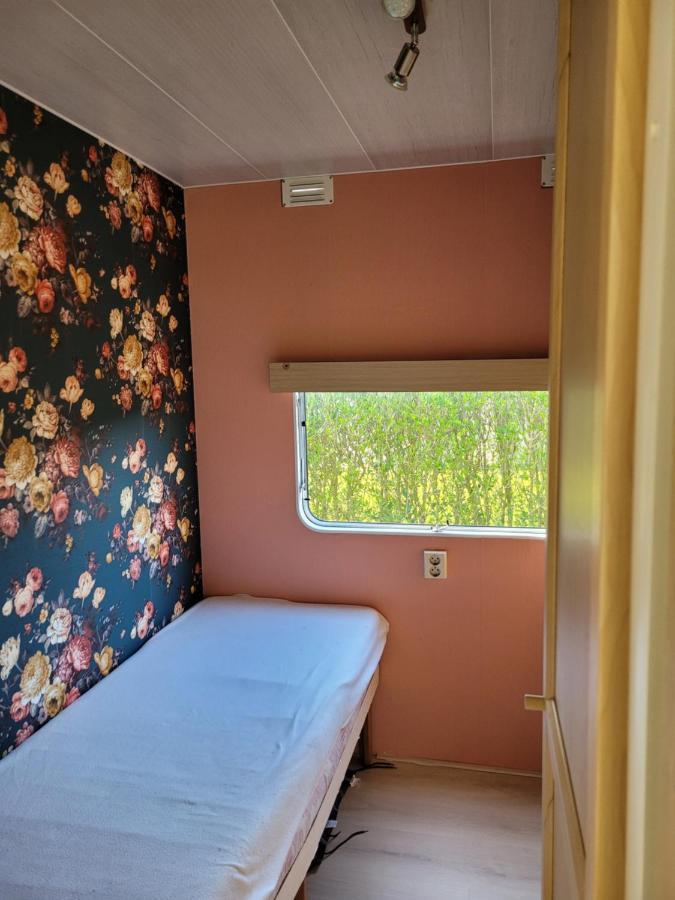 Camping De Blauwe Reiger Pieterzijl Ngoại thất bức ảnh